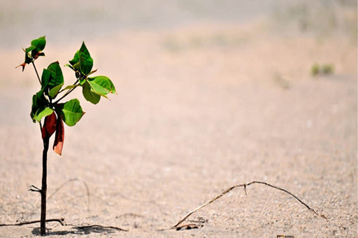 清水潭旅游度假区攻略（清水潭旅游度假区怎么样）