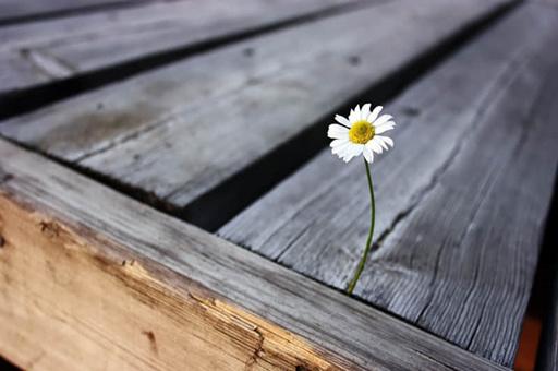 兵马俑的总结（兵马俑的总结与体会）