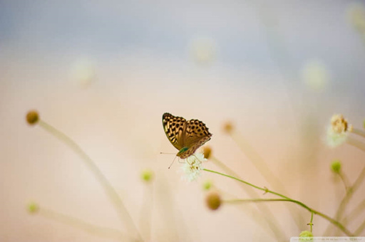 杭州旅游攻略夜间游玩景点 杭州旅游攻略夜间游玩景点