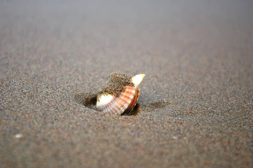 甘孜阿坝景点地图旅游攻略（甘孜阿坝旅游路线图）