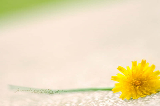 8月份五台山旅游（8月份五台山旅游多少天）