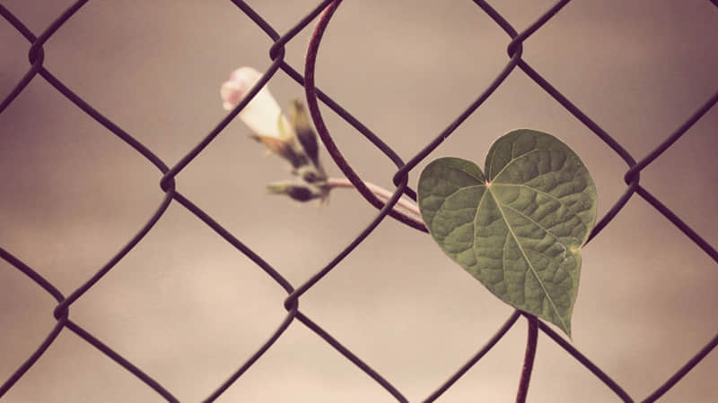 休闲度假旅游案例（休闲度假旅游案例范文）