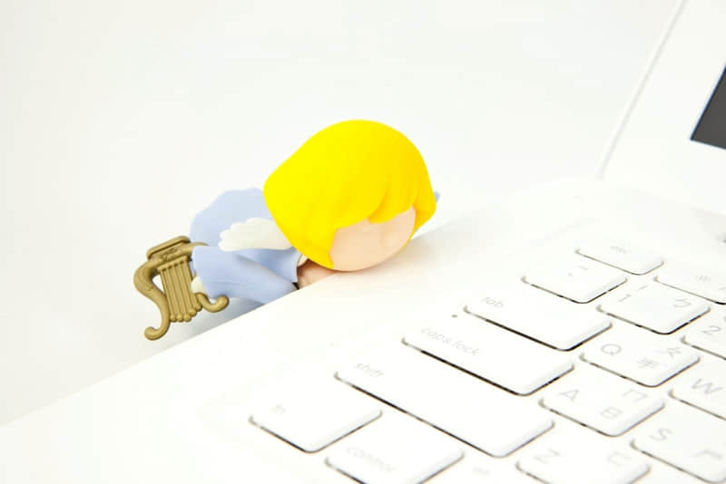 长春市区一日游必去的景点（长春市区景点一日游攻略）