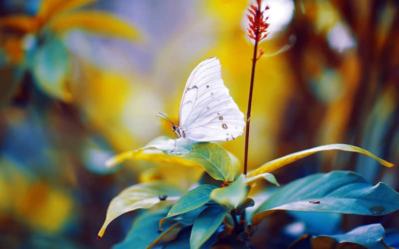 深圳旅游花销（深圳旅游花销排名）