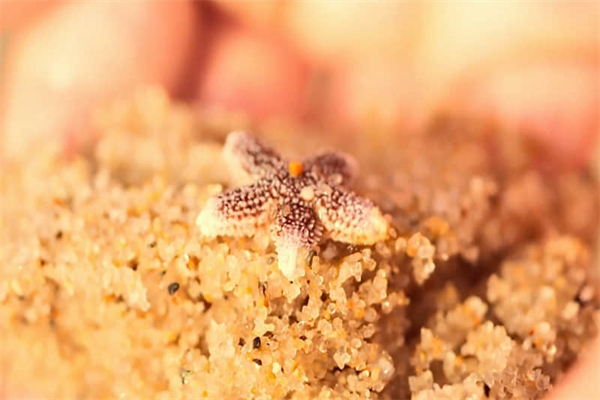 明天五台山气温（五台山今天明天气温）