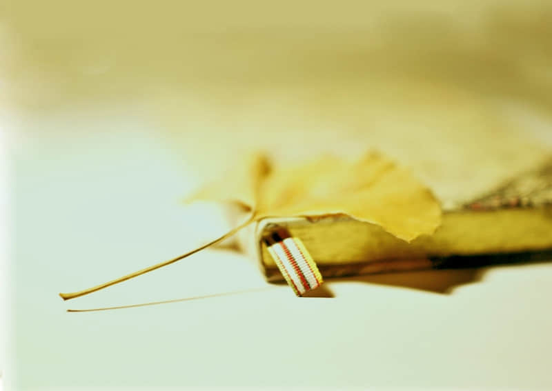 莫干山风景区游玩攻略（莫干山风景区游玩攻略路线）