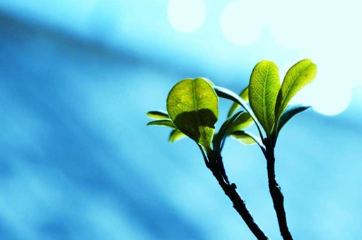 长沙南站周边景点推荐（长沙南站周边旅游景点）