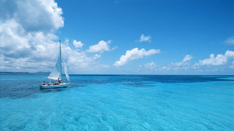 黄山雪浪石（雪浪石是不是就是泰山石）