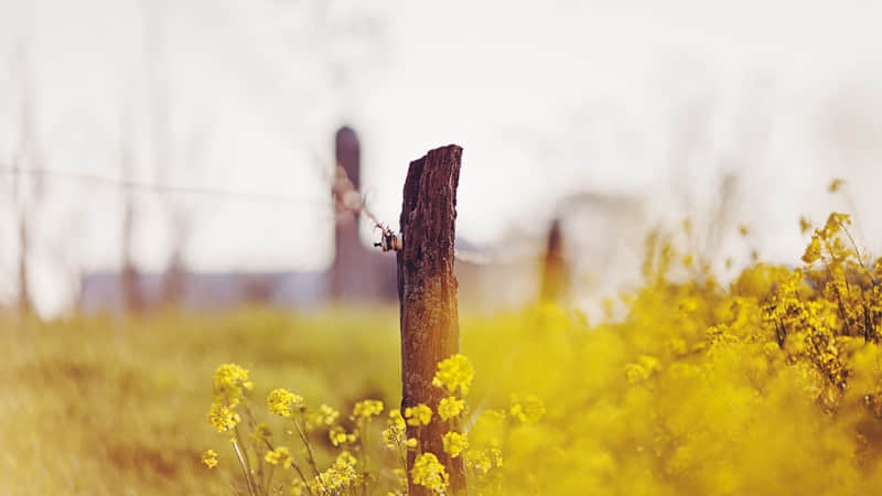 兵马俑陶俑纪念品（兵马俑的陶俑）