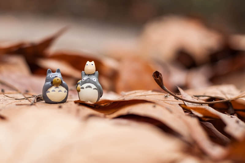 十一度假旅游价格（十一休闲度假好去处）