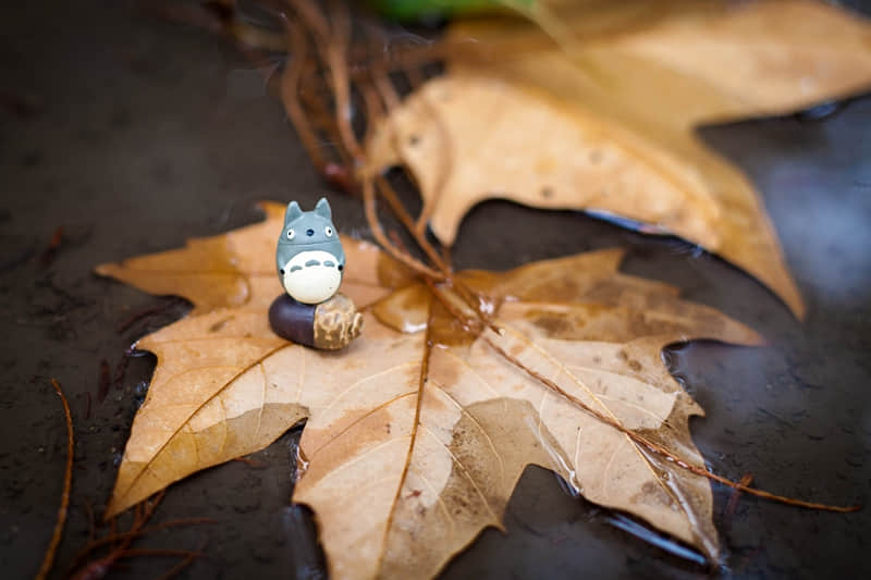 泰山风景区（泰山风景区多大面积）