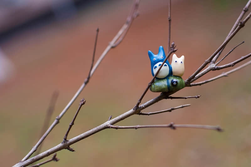 淮北日出攻略旅游推荐景点（淮北市日出时间）