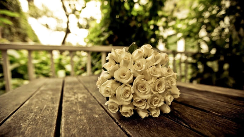 我想去深圳旅游（我要去深圳旅游）