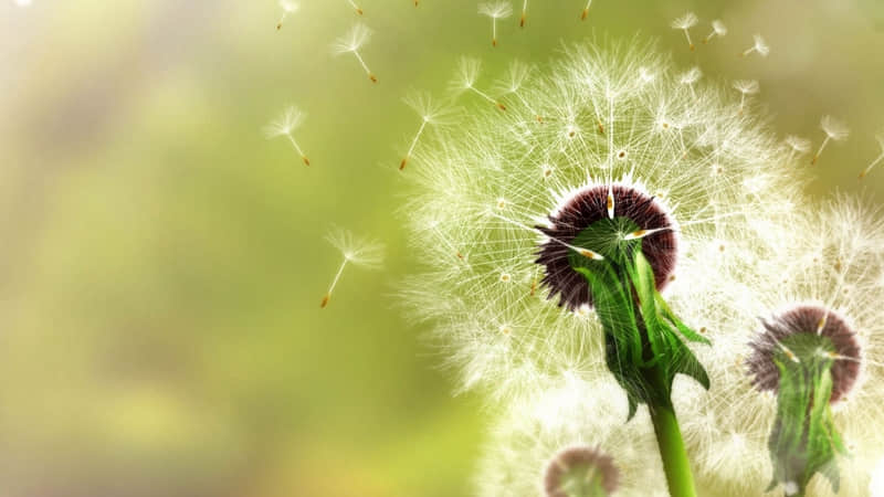 鼓浪屿旅游攻略必去的景点（鼓浪屿旅游攻略必去的景点图片）