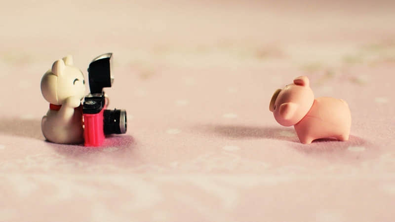 台州景点门票优惠攻略南京