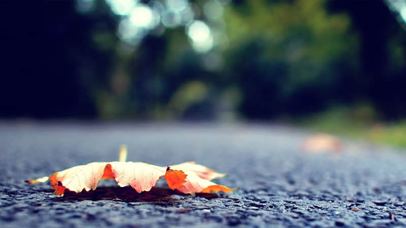 冬季旅游必去地方攻略（冬季旅游必去地方攻略一日游）