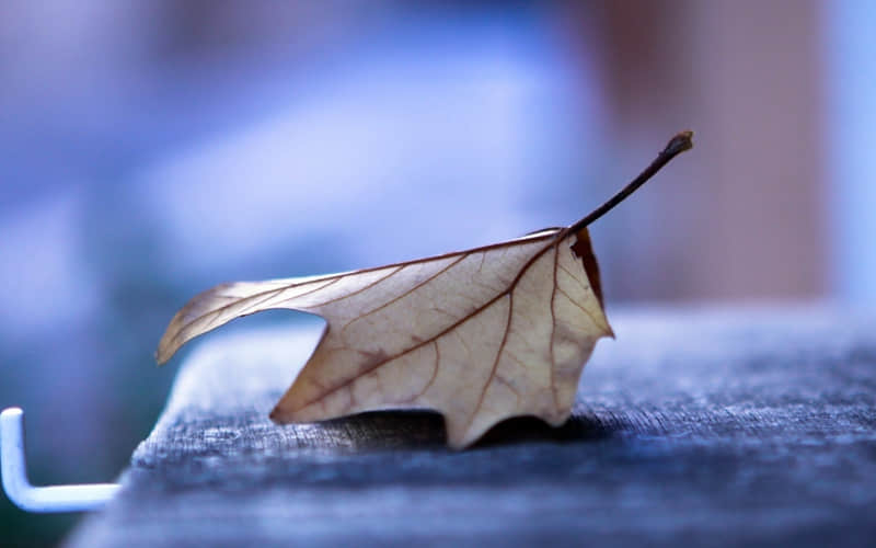 广州避暑旅游攻略景点必去（广州避暑好去处）