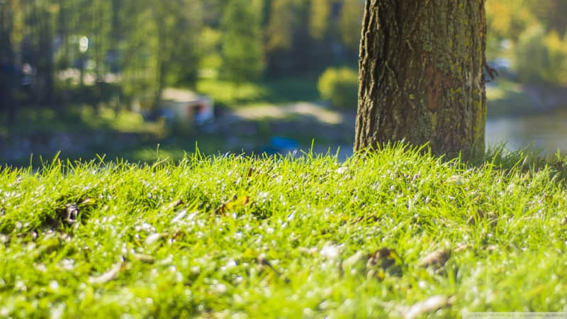 冬季延庆旅游攻略必去景点（冬季延庆旅游景点大全排名）