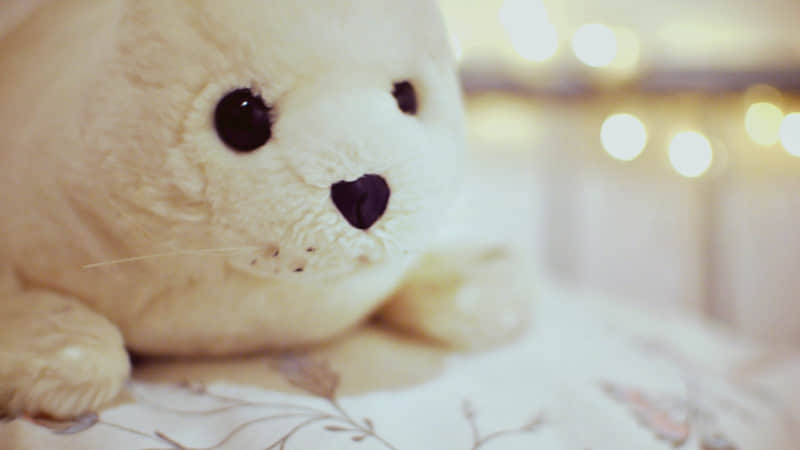 株洲市旅游必去的景点（株洲推荐的旅游景点）