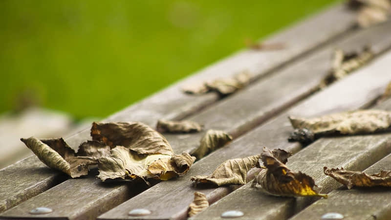 中国的台风（中国的台风多发在什么季节）