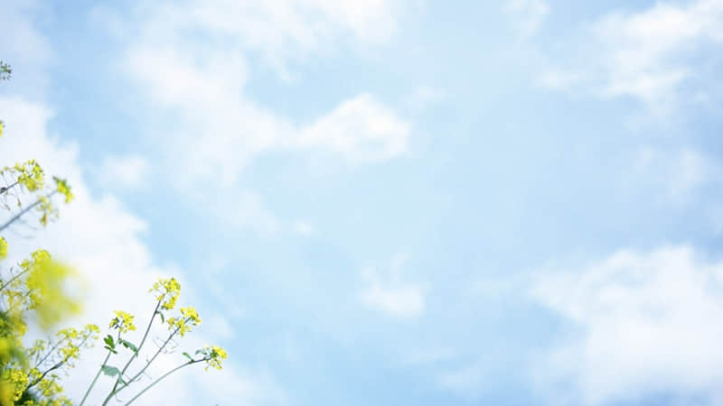 泰山残石楼（泰山残石楼篆刻）