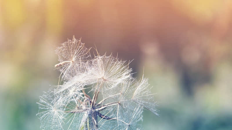 小情侣必去的国外旅游地