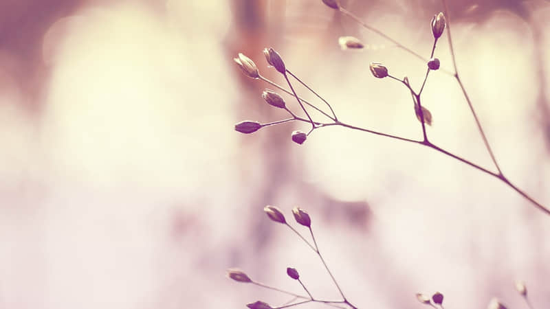 西安一日游景点门票价格