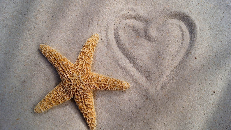 利川旅游景点夜场攻略（利川旅游景点夜场攻略一日游）