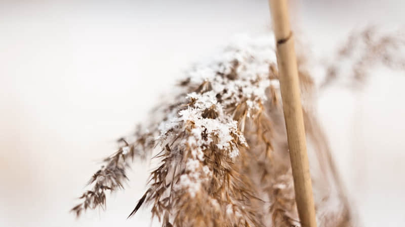 垦丁哪里好玩（垦丁有什么好玩的）