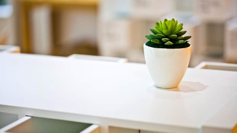 青海湖必去旅游（青海湖旅游推荐）