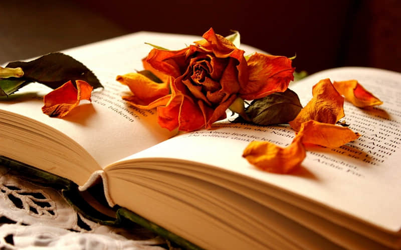 定海湾旅游度假区地点（定海湾旅游度假区地点图）