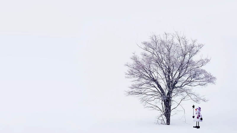 遂宁景点旅游攻略亲子（遂宁游玩景点）