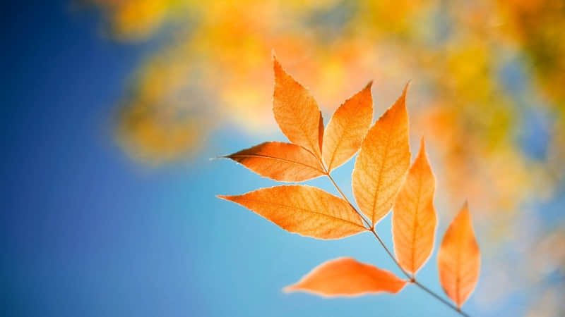 惠州游玩攻略（惠州游玩攻略两天一夜住宿）