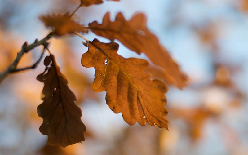 江苏未来15天天气预报