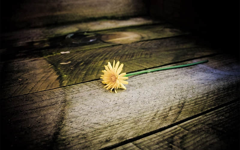 清真旅游度假村（清真旅游度假村地址）