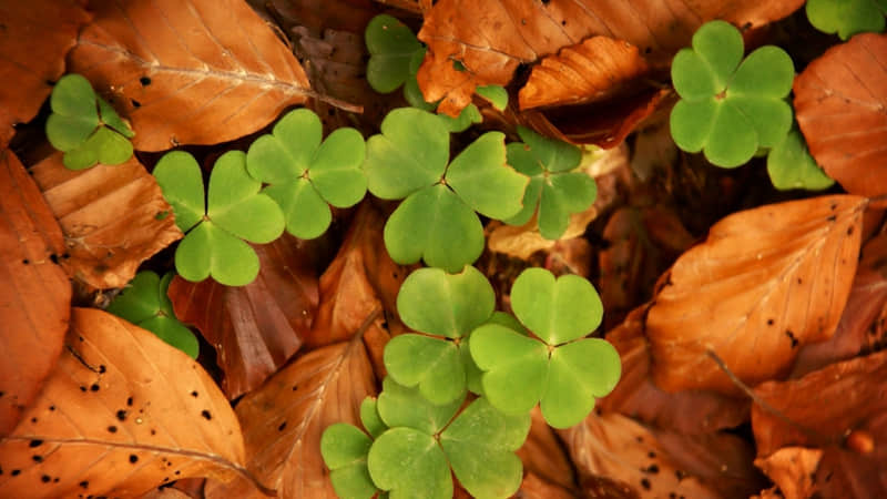 杭州到永城沿途景点攻略 杭州到永城沿途景点攻略