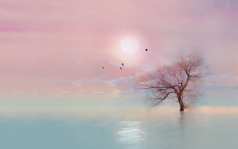 现在去九寨沟旅游（现在去九寨沟旅游安全吗最新消息）