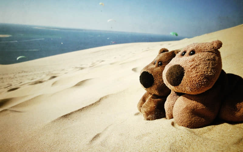 铭湖旅游度假区消费（铭湖旅游度假区消费怎么样）