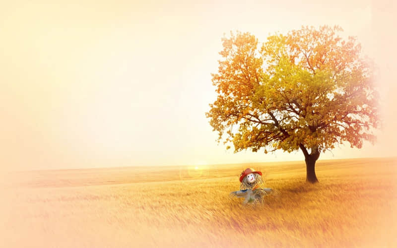 沈丘天气预（沈丘天气预报未来15天）