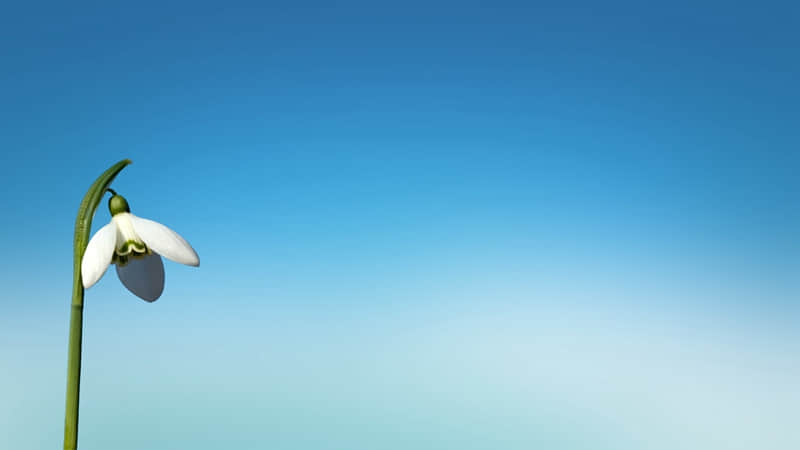 迪斯尼图片（香港迪士尼图片）