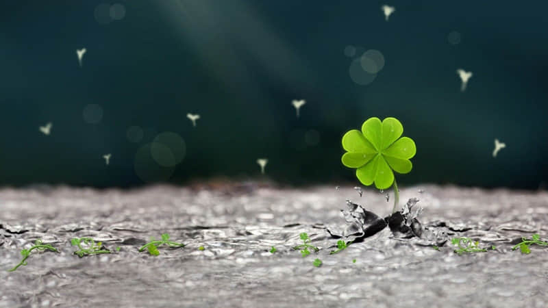 从太原去张家界旅游路线（从太原去张家界旅游路线攻略）