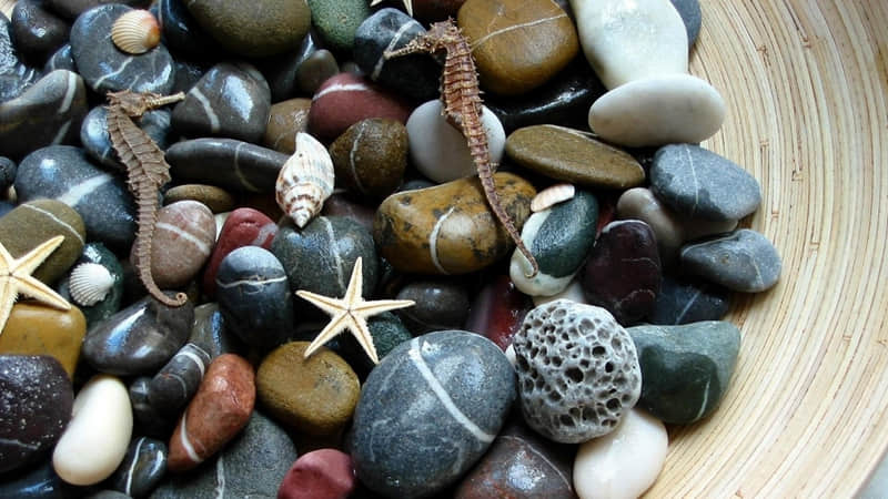 减肥者旅游度假基地（减肥圣地）