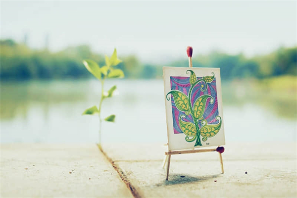 贵州景点免费旅游攻略（贵州旅游免费景点推荐）