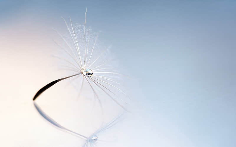 澳洲全年天气（澳洲全年天气预报）