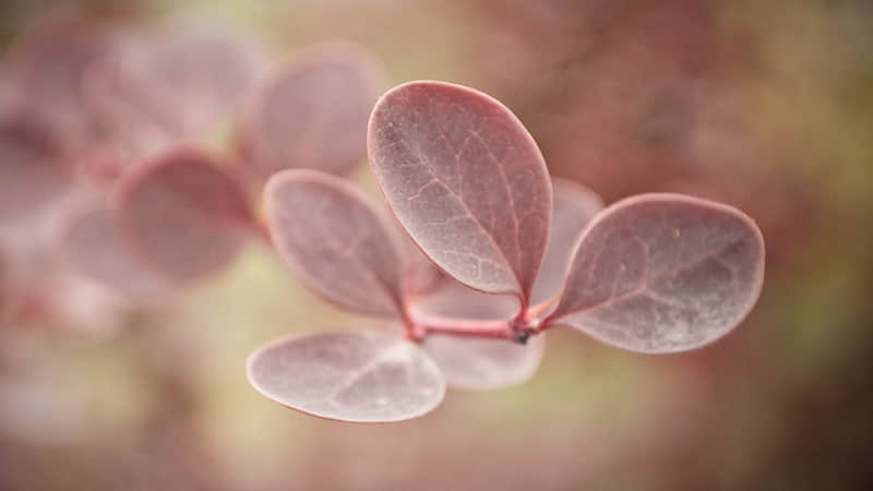 山西旅游三日游路线