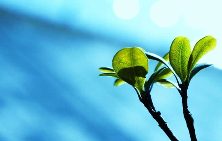 介休地图旅游攻略景点 介休地图旅游攻略景点