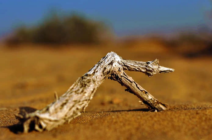 神木旅游景点必去的地方（神木旅游景点必去的地方是哪里）