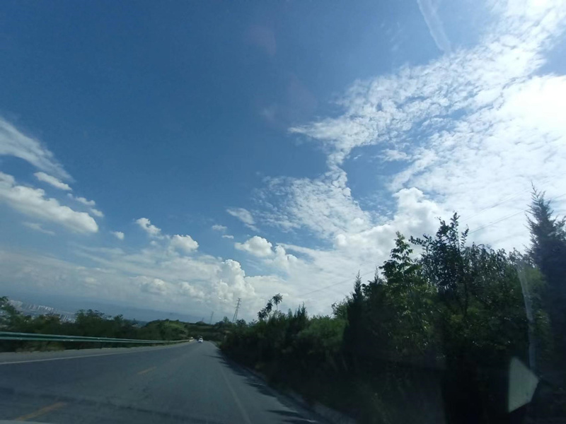 详细阅读:小乌龟去旅游故事 小乌龟去旅游故事