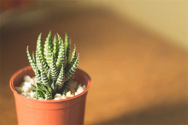 周庄了旅游攻略必去景点（周庄旅游攻略一日游经验分享）