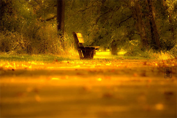 暑假国外旅游必去的地方（暑假国外旅游必去的地方英语作文）